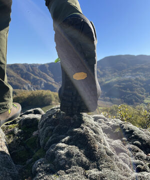Trekking