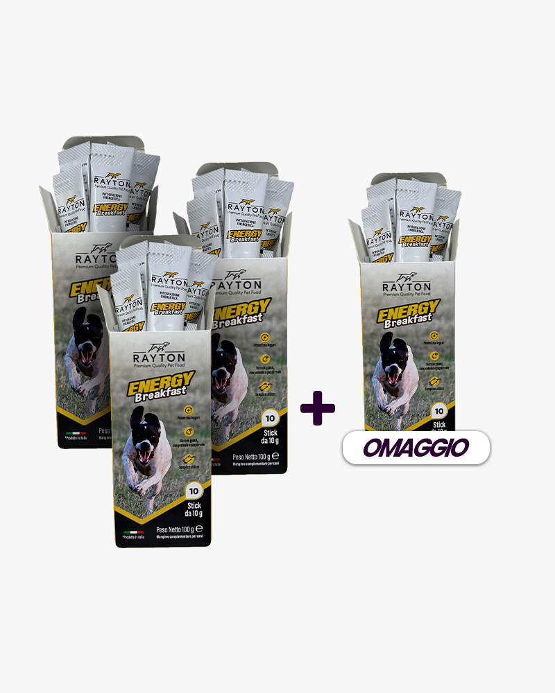 ENERGY BREAKFAST 3 + 1 omaggio - Confezione da 10 stick monodose da 10 g