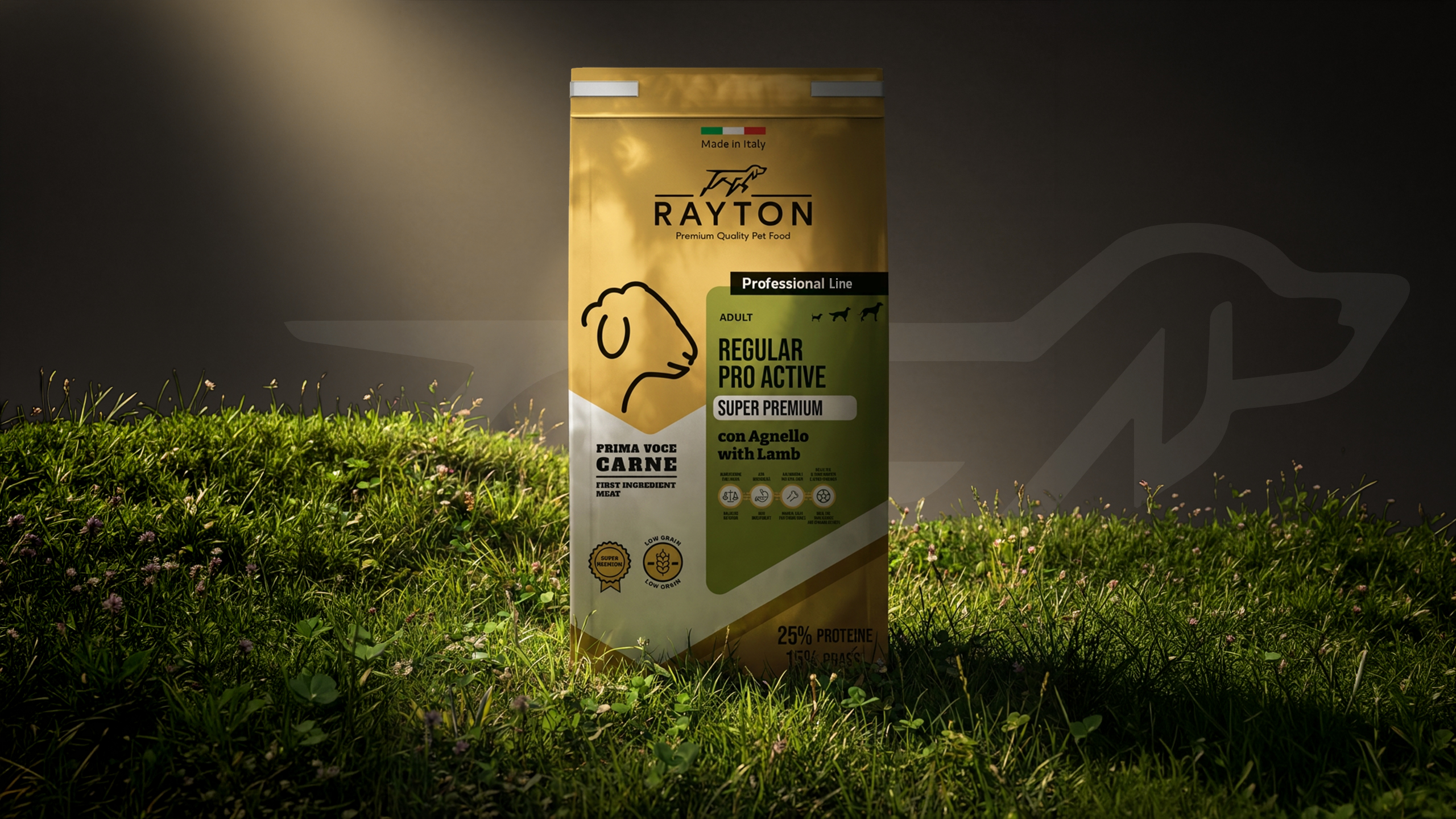 Rayton